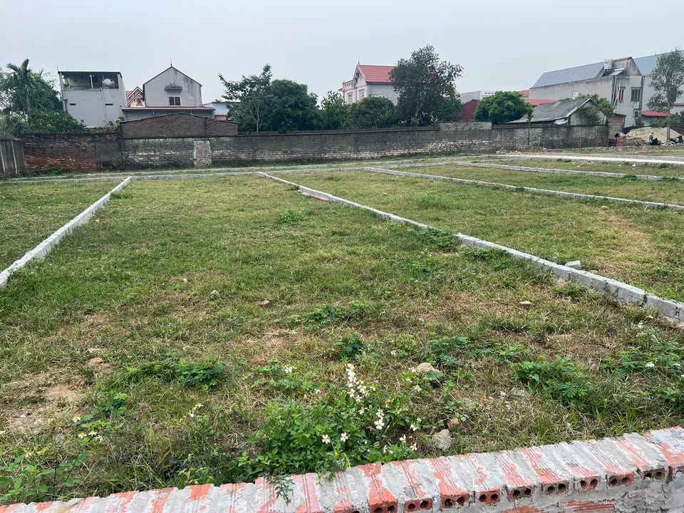 Đất nền đẹp tại xã Hùng Sơn, Hiệp Hòa 124m² - Đầu tư sinh lời ngay!