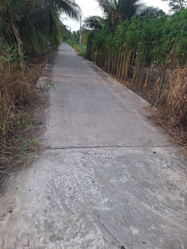 Đất nền mặt tiền An Ngãi Trung 900m² giá chỉ 430 triệu - Cơ hội đầu tư hiếm có!