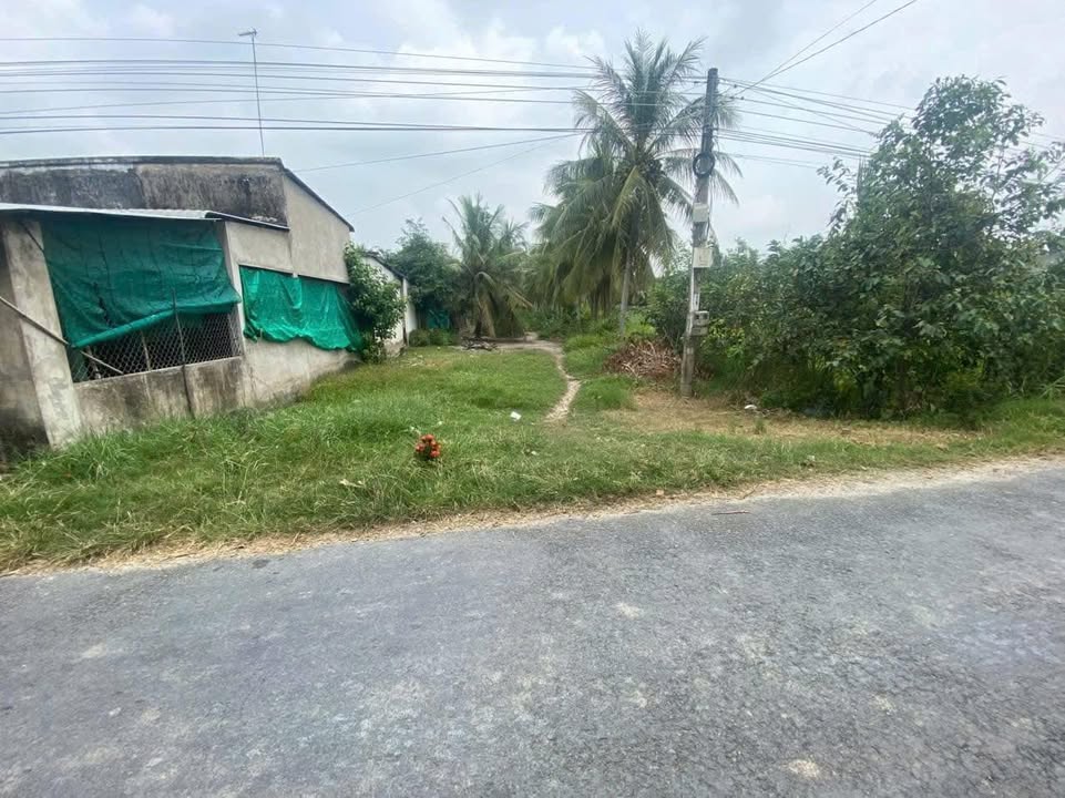 Đất nền An Ngãi Trung, Ba Tri 1000m² giá 950 triệu - Mặt tiền lộ nhựa rộng rãi!