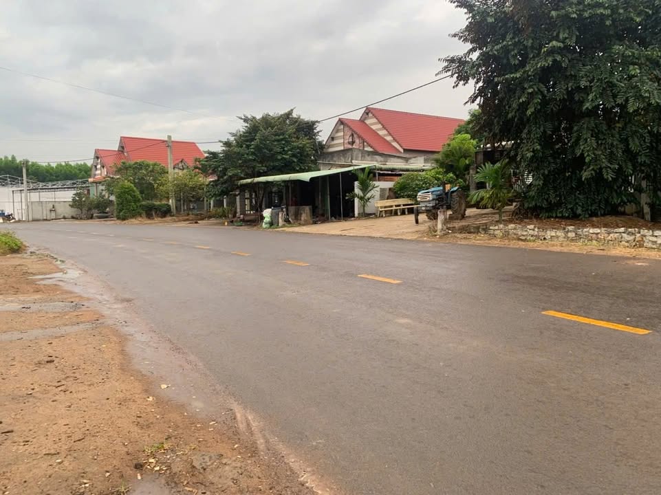 Đất nền mặt tiền nhựa Xuân Trường Xuân Lộc 1000m² giá chỉ 1,2 tỷ - Cơ hội đầu tư tuyệt vời!