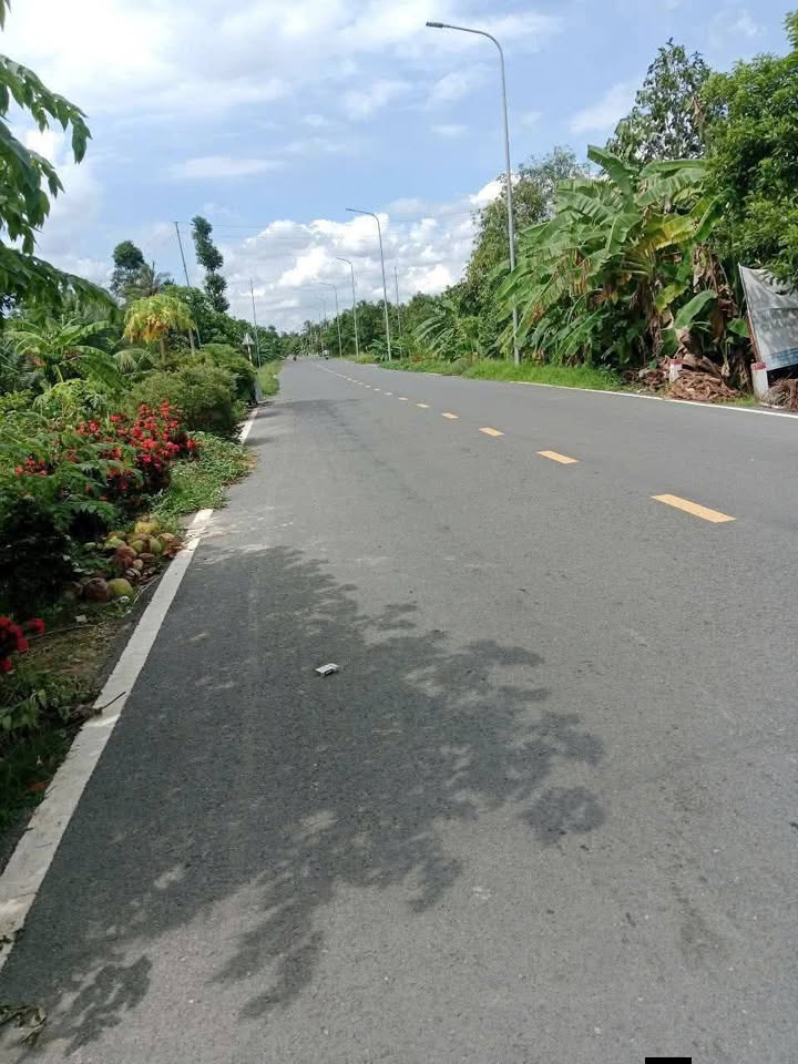 Đất mặt tiền TL864, xã Mỹ Lương, huyện Cái Bè, 598m² chỉ 155 triệu - Cơ hội đầu tư tuyệt vời!