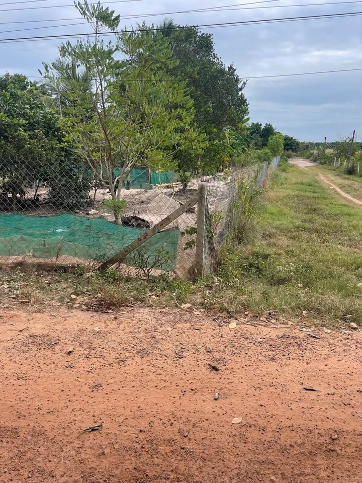 Đất nền 2 mặt tiền Gò Dầu 294m² giá 294 triệu - Pháp lý rõ ràng, sang tên ngay!