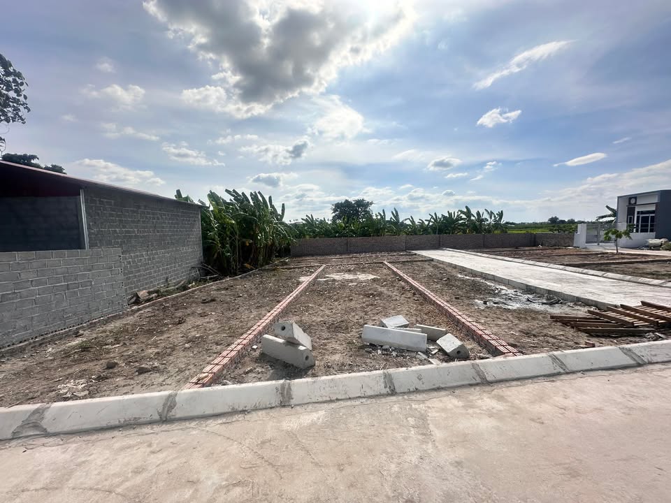 Đất nền Thái Sơn - An Lão 60m² giá chỉ 500 triệu - Đầu tư sinh lời ngay!