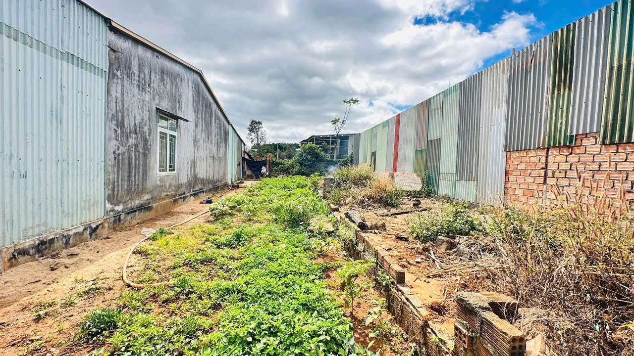 Đất nền thổ cư Hẻm 735 Lê Duẩn, An Phú, Pleiku, 184m² - Giá chỉ 800 triệu!