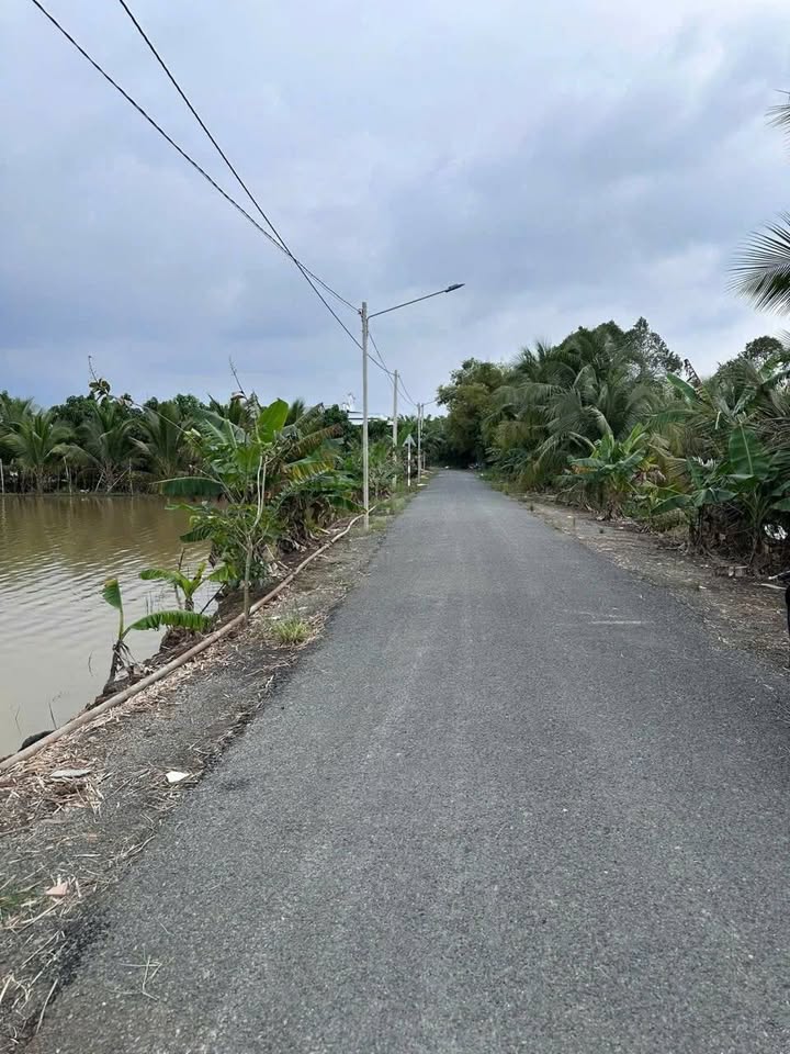 Đất thổ cư 2 mặt tiền Tân Nghĩa, 2300m² chỉ 1.2 tỷ - Cơ hội đầu tư tuyệt vời!