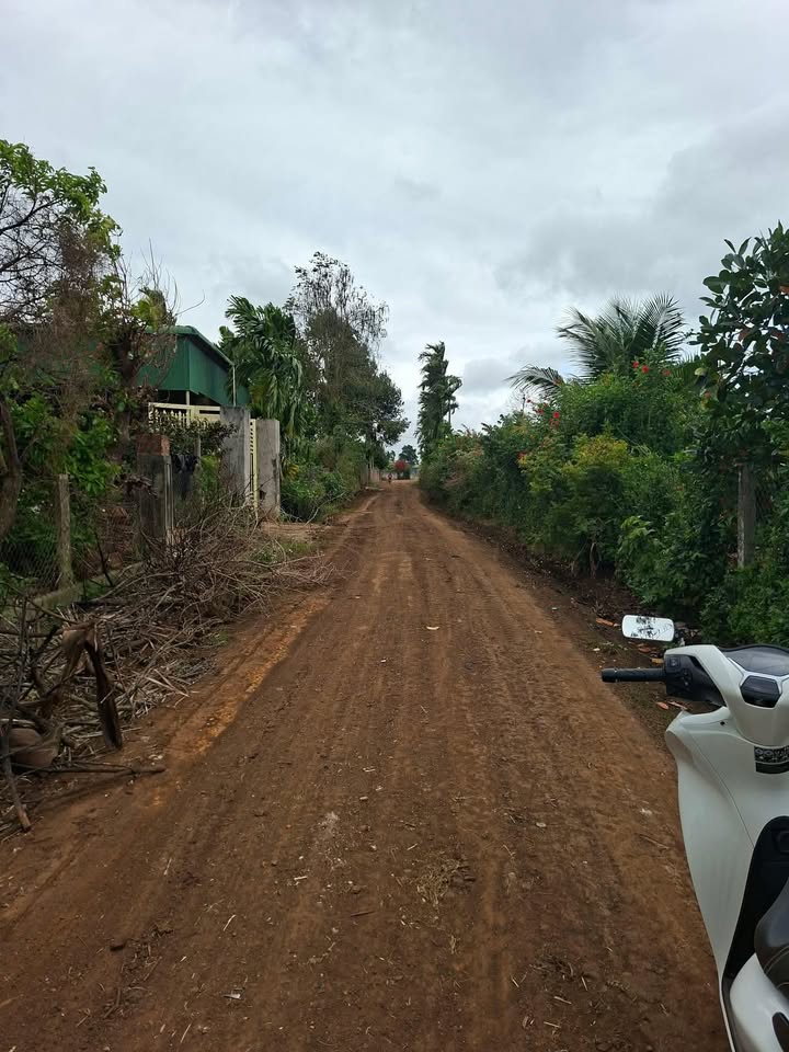 Đất nền Ea Kly Krông Pắc 600m² giá 708 triệu - Đầu tư sinh lời ngay!