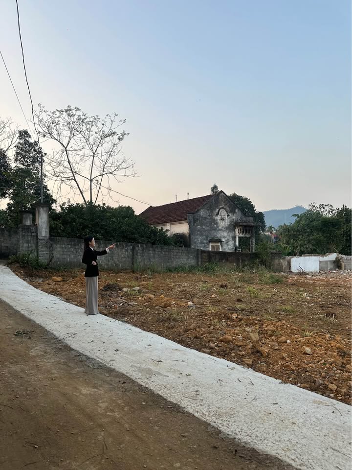 Đất thổ cư 1793m² khu phố 6, Thanh Sơn - Đầu tư sinh lời lý tưởng!