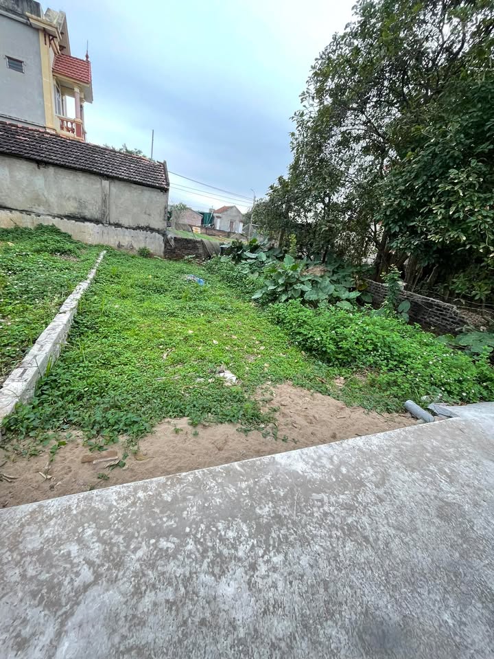 Đất nền Tự Nhiên Thường Tín 52m² giá 2.1 tỷ - Lô góc 3 mặt tiền đắc địa!