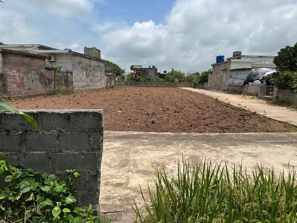 Đất thổ cư Nam Hồng Tiền Hải 100m² giá chỉ 3xx triệu - Cơ hội đầu tư hiếm có!