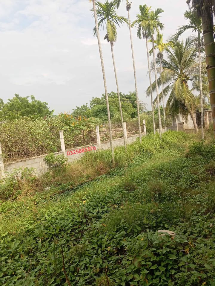 Đất nền Phước Mỹ 506m² giá 1.9 tỷ - Mặt tiền đường nhựa thuận tiện kinh doanh!