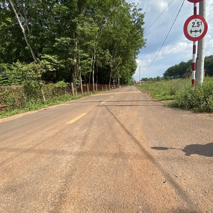 Đất nền Bàu Bàng 200m² giá 800 triệu - Mặt tiền nhựa Cây Trường 72!