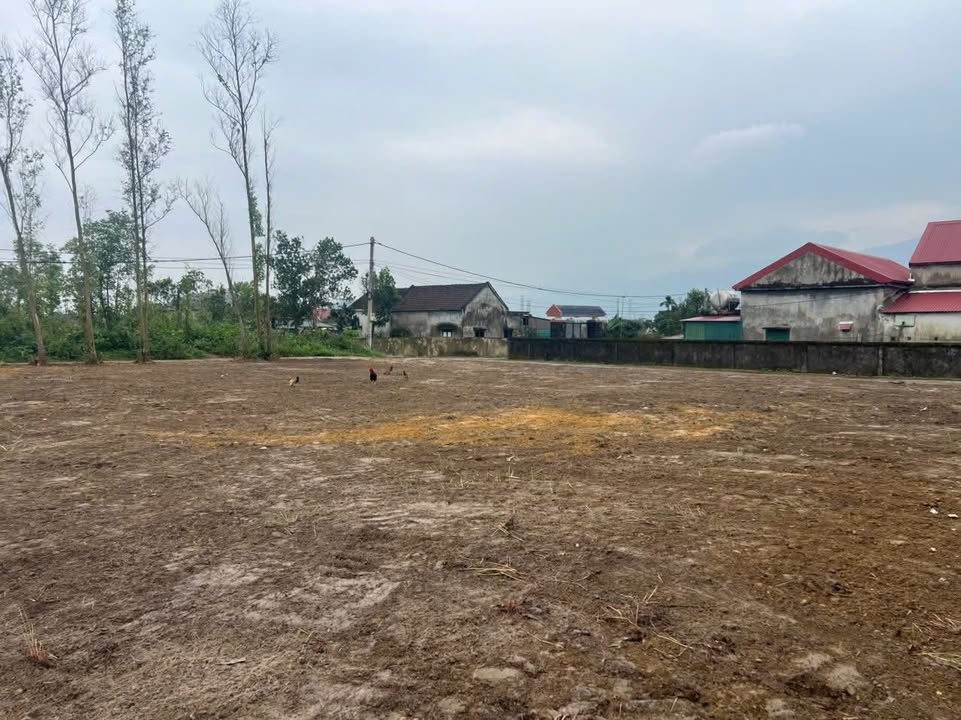 Đất thổ cư 175m² đường Nguyễn Biểu, Kỳ Trinh giá 1.7 tỷ - Đầu tư sinh lời lý tưởng!