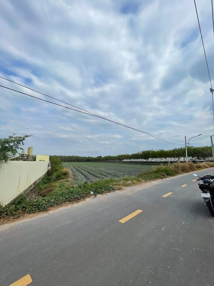 Đất nền Bàu Bàng 1.365ha giá 14 tỷ - Đầu tư lâu dài sinh lời!