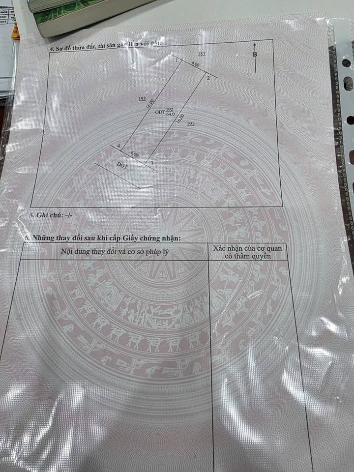 Đất Tân Quán, xã Tân Bình, Thái Bình 64m² giá 1.1 tỷ - Tiềm năng kinh doanh cao!