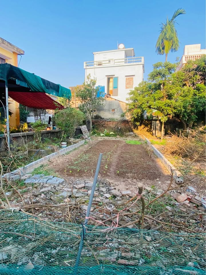 Đất ngõ ô tô đỗ cửa Vũ Lạc, Thái Bình 64.5m² - Giá chỉ 1 tỷ, thương lượng!