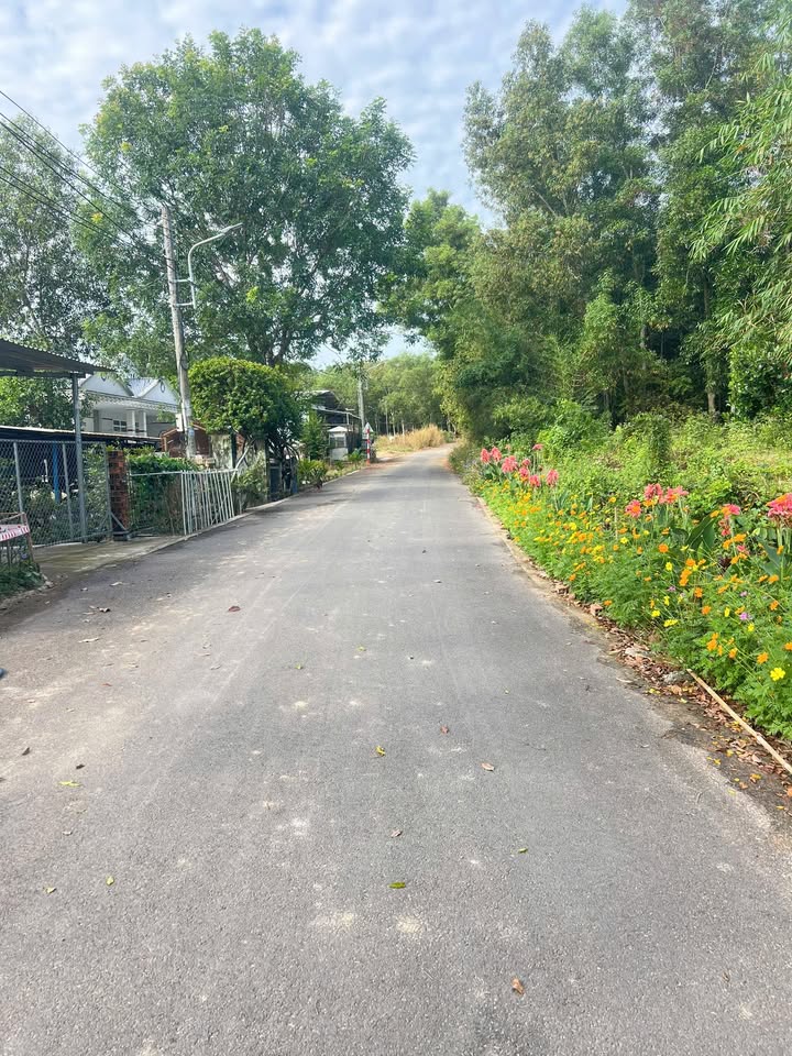 Đất nền mặt tiền ĐT 748, An Điền 460m² giá 2 tỷ - Đầu tư sinh lời ngay!