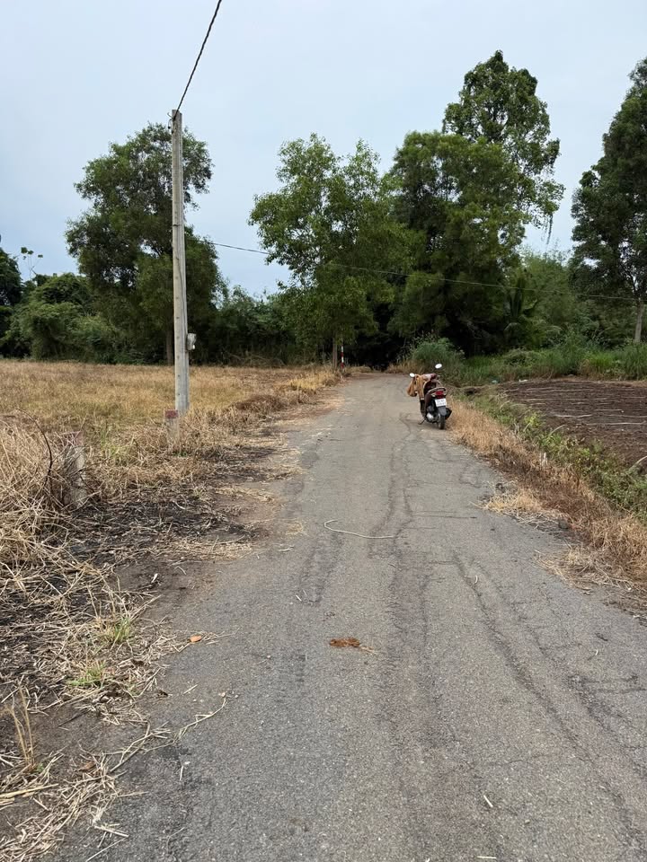 Đất nền Bình Trung Châu Đức 1.570m² giá 1.6 tỷ - View suối tuyệt đẹp!