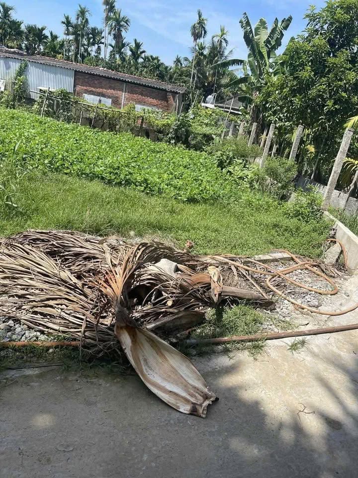 Đất nền liền kề Nghĩa Trung Tư Nghĩa 100m² giá chỉ 200 triệu - Cơ hội đầu tư tuyệt vời!