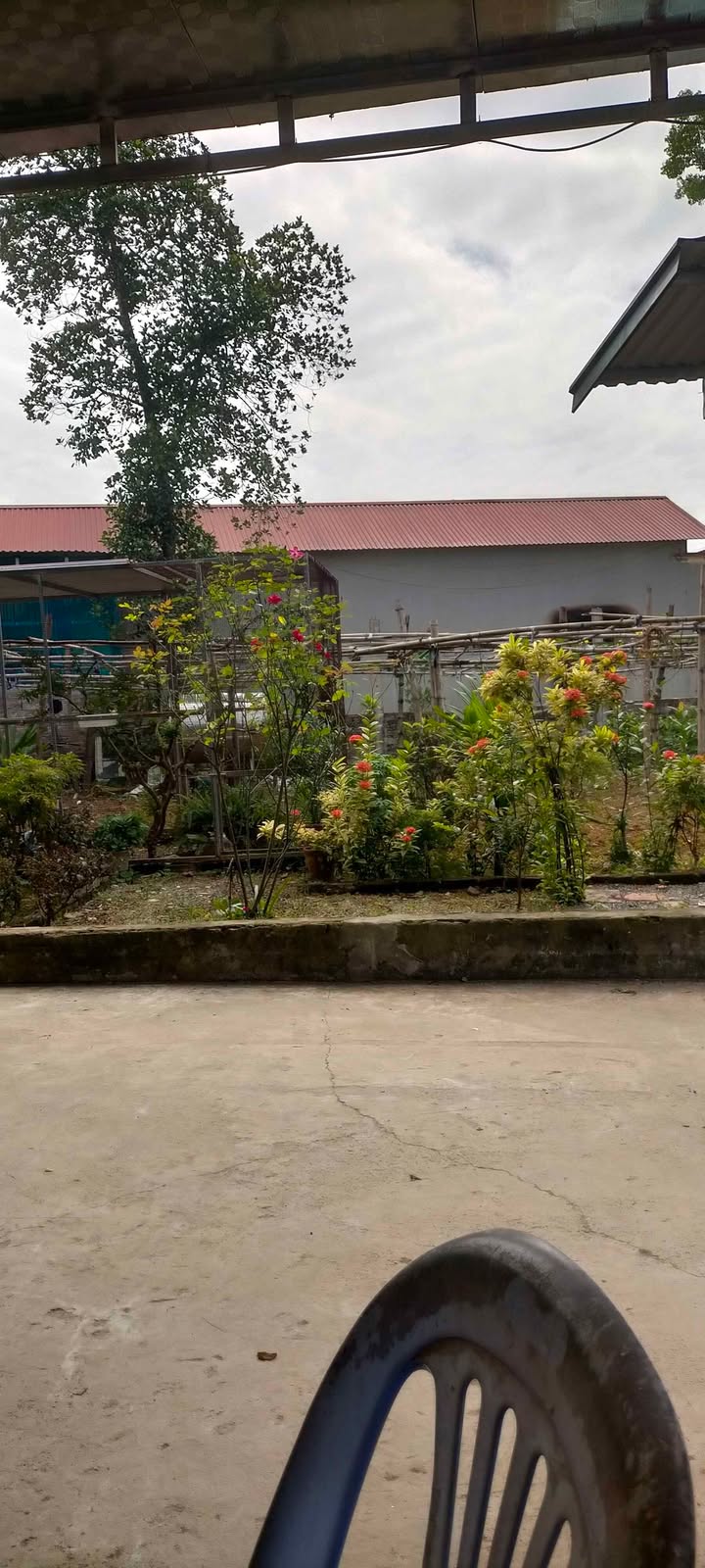 Đất thổ cư 250m² tại Giếng Êm, Lương Sơn - Sổ đỏ chính chủ, giá tốt chốt nhanh!