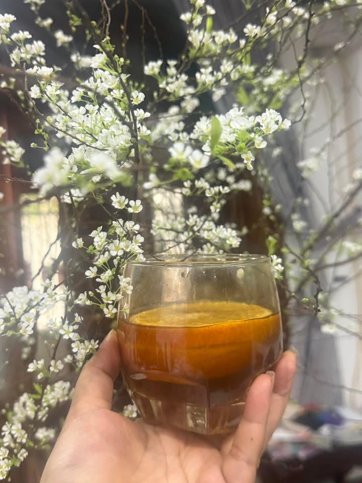 Nhà 2 tầng Vân Giang Ninh Bình 50m² giá 3.45 tỷ - Cơ hội đầu tư hiếm có!