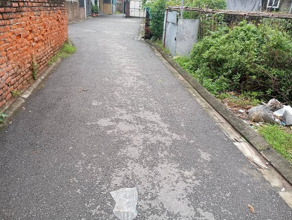 Đất nền Đa Tốn Gia Lâm 54m² giá 4.1 tỷ - Ngõ ô tô vào tận nơi!