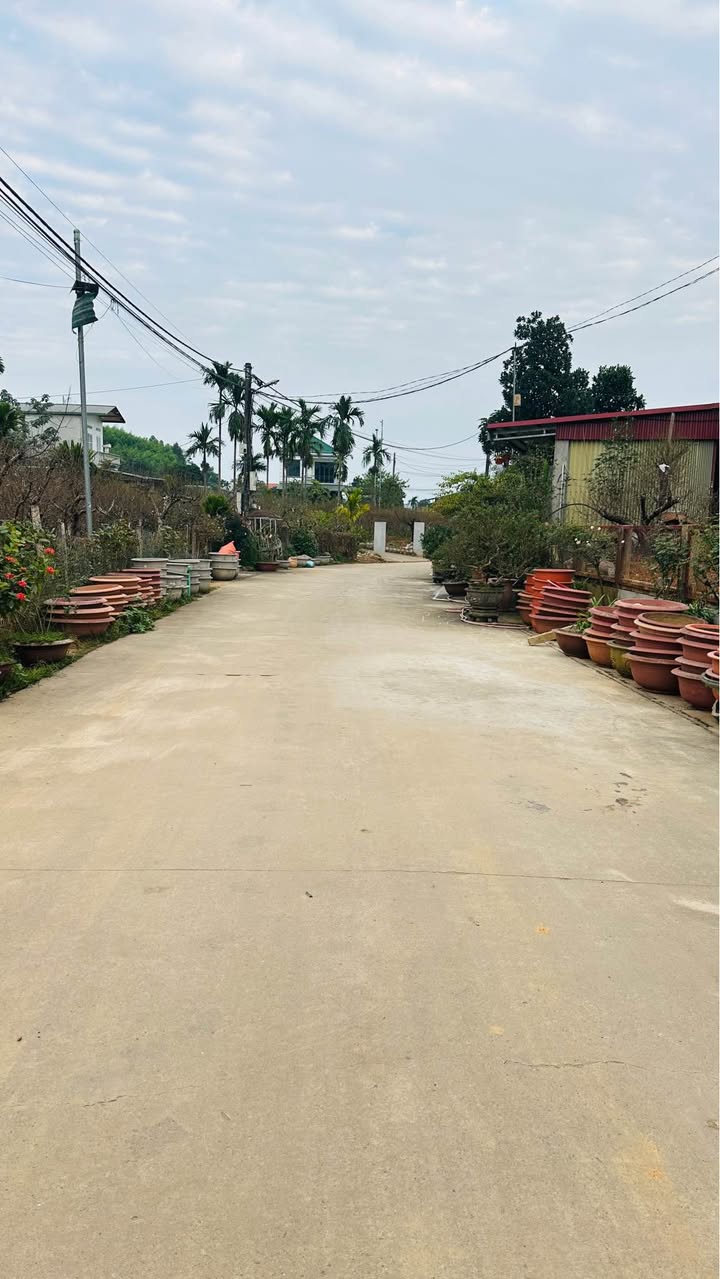 Đất nền tổ 9, phường Nông Tiến, Tuyên Quang 123m² - Pháp lý rõ ràng, giá chỉ 1.78 tỷ!