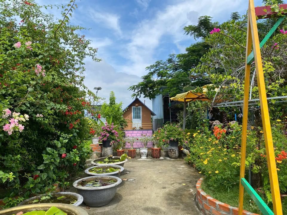 Đất lúa 2.600m² tại Hàm Cường, giá 2.4 tỷ - Cơ hội đầu tư hấp dẫn!