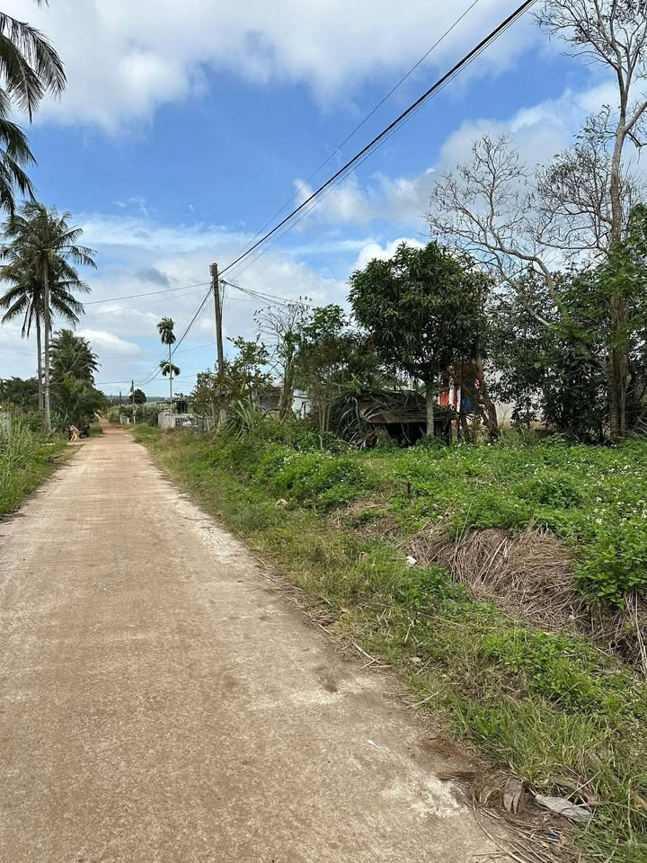 Đất nền Ea Sol 300m² giá chỉ 299 triệu - Cơ hội đầu tư tuyệt vời!