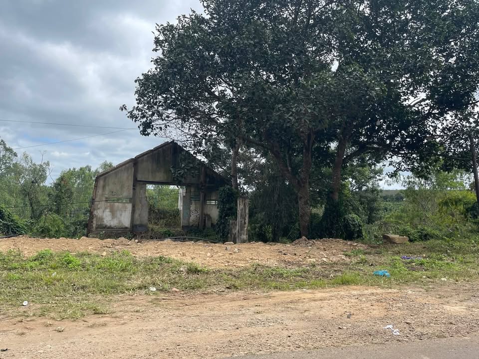 Đất nền Quốc Lộ 14, xã Ea Ral, 2000m² giá 3.4 tỷ - Pháp lý rõ ràng, cơ hội đầu tư tốt!