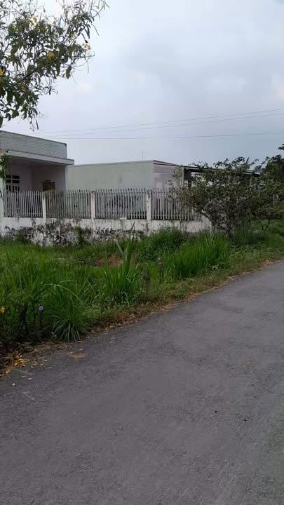 Đất nền mặt tiền đường nhựa Hl.50, xã Tân Hòa Thành, 140m² chỉ 65 triệu - Cơ hội đầu tư hấp dẫn!