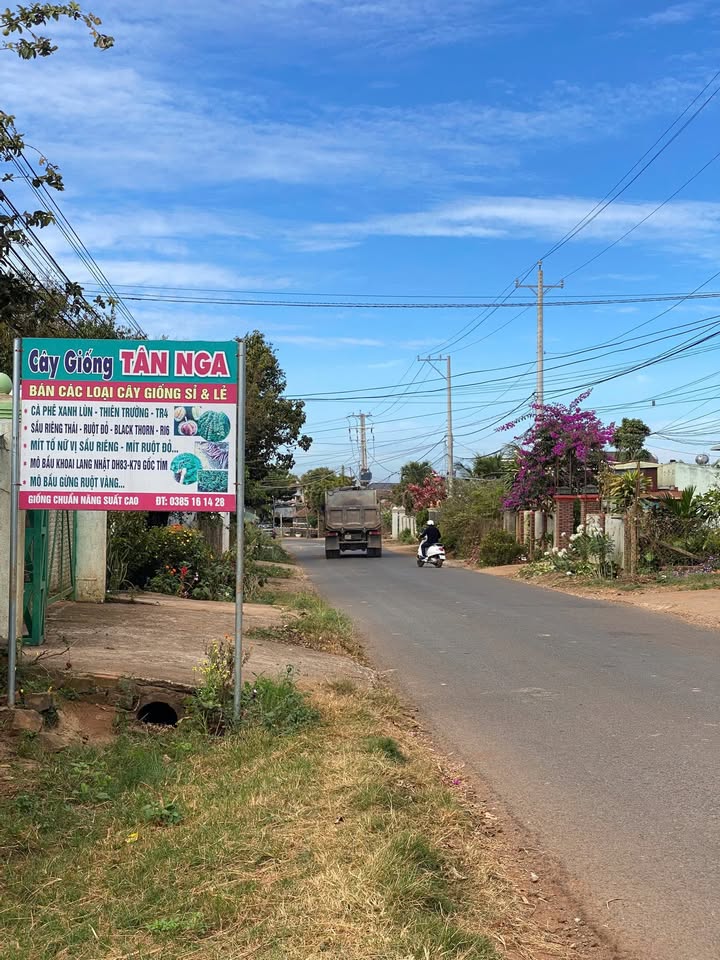 Đất nông nghiệp 1000m² Hiệp Thạnh, Đức Trọng - Giá 1.68 tỷ, cơ hội đầu tư sinh lời!