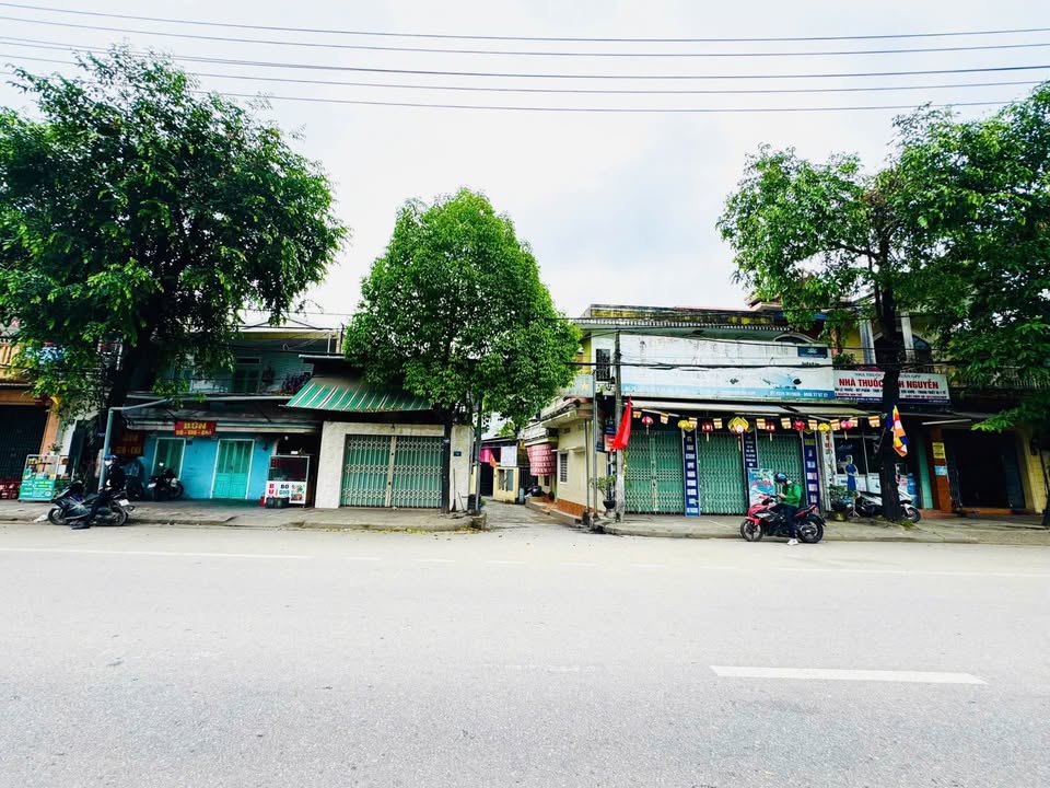 Đất kiệt Lý Thái Tổ, phường An Hoà 86m² giá 1.3 tỷ - Đầu tư sinh lời hiếm có!