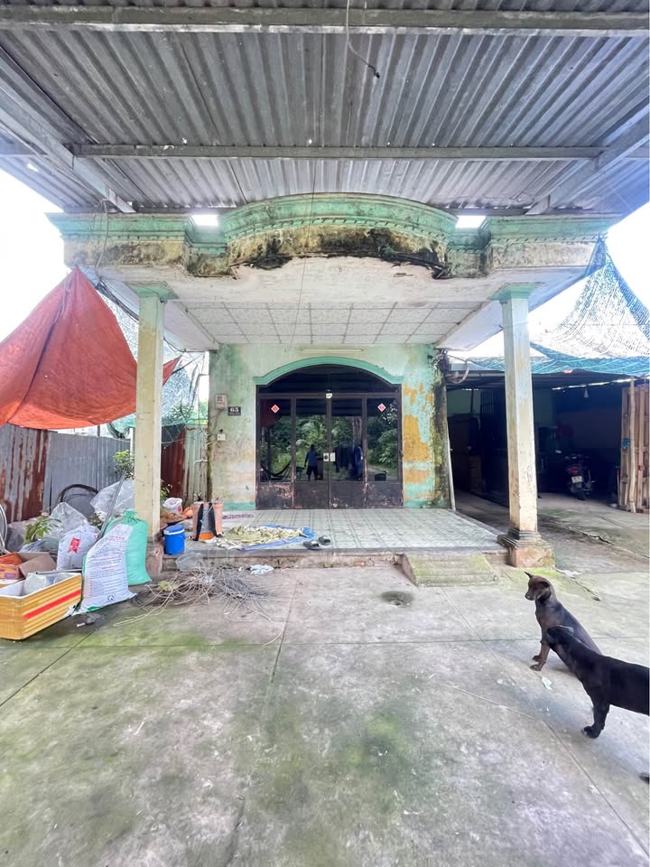 Đất thổ cư Tân Thông Hội, Củ Chi 360m² giá 3 tỷ - Mặt tiền kênh thông thoáng!