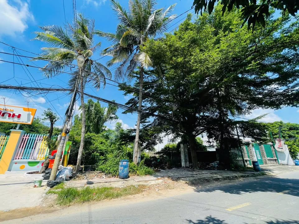 Đất nền Tân Thông Hội Củ Chi 975m² giá 12 tỷ - Phù hợp xây biệt thự hoặc kho xưởng!