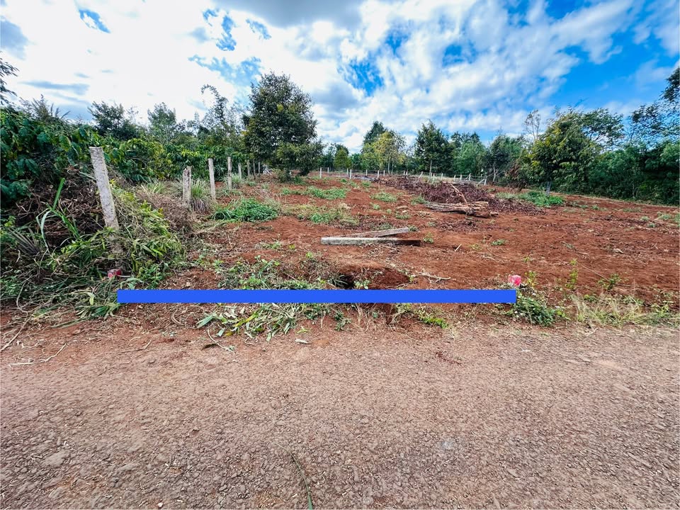 Đất nền Hẻm Chính Trường Sơn, Ia Hrung, Gia Lai 135m² giá chỉ 2xx triệu - Sổ đỏ chính chủ!