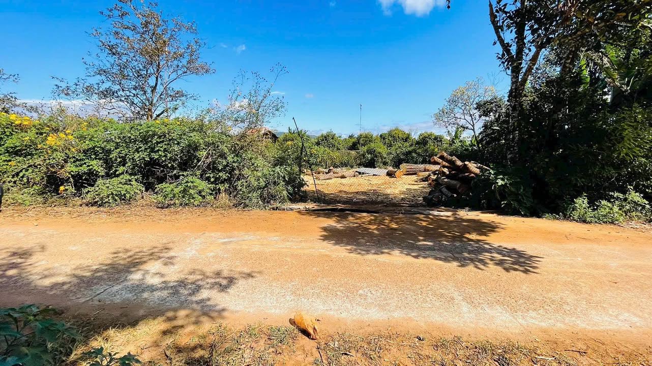 Đất nền hẻm Phạm Hùng, Pleiku, 232m² giá 1.15 tỷ - Đầu tư sinh lời!