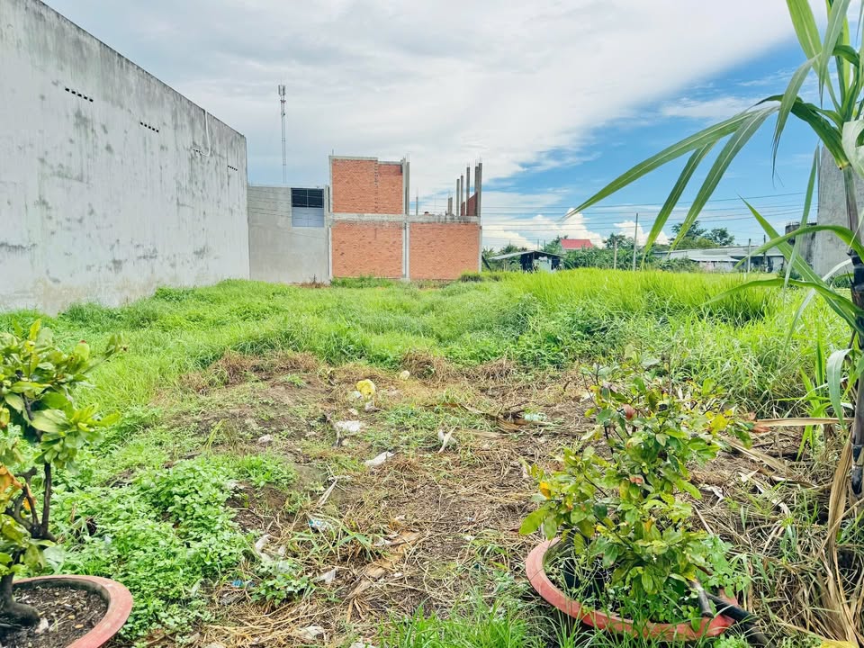 Đất nền chính chủ xã Đức Hòa Hạ 90m² giá 986 triệu - Sổ hồng riêng, đầu tư sinh lời!