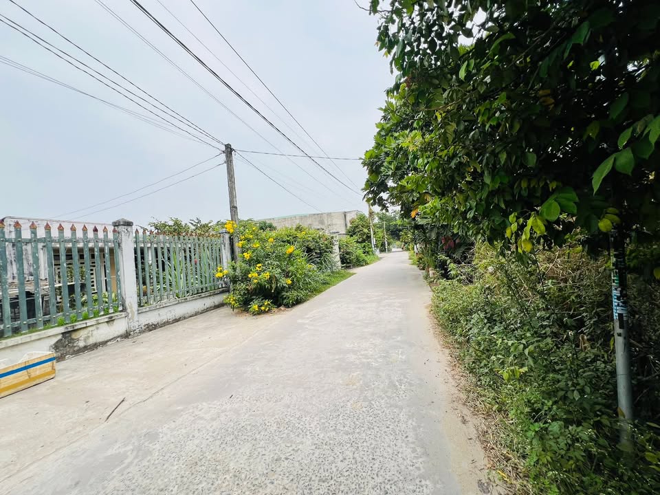 Đất nền mặt tiền đường Giồn Lớn, xã Mỹ Hạnh, 125m² giá 1.52 tỷ - Đầu tư sinh lời!