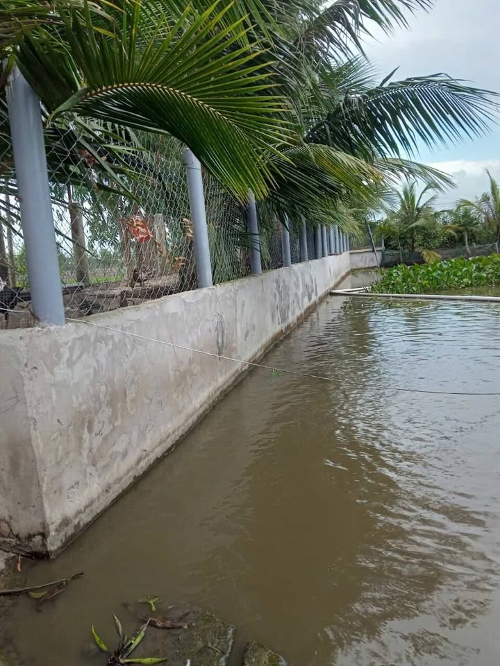 Nhà vườn Hòa Khánh Tây, 3500m², giá 3.5 tỷ - Khu vực yên tĩnh, lý tưởng để nghỉ dưỡng!