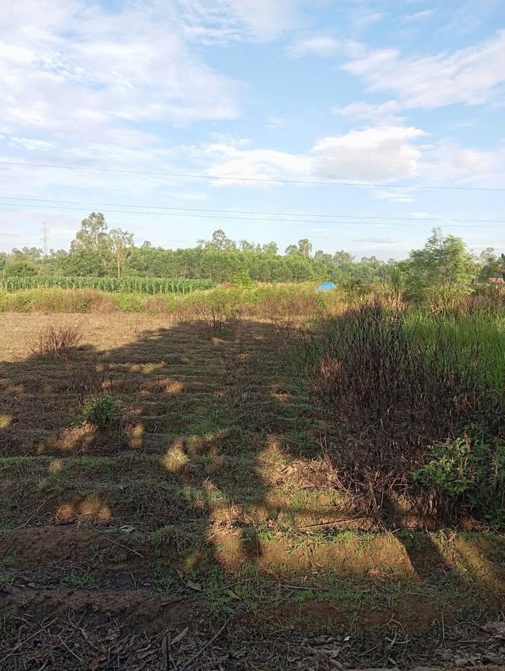 Đất nền Thăng Bình, Quảng Nam 120m² giá 600 triệu - Đường 3m, hướng Đông