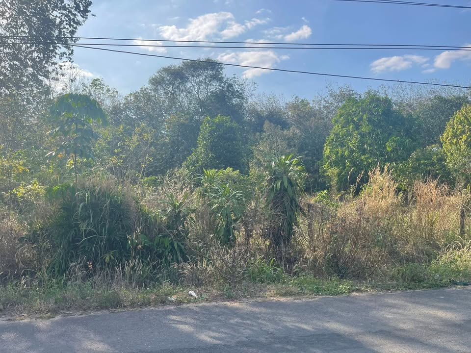 Đất thổ cư Dầu Tiếng 1400m² giá thỏa thuận - Cơ hội đầu tư hấp dẫn!