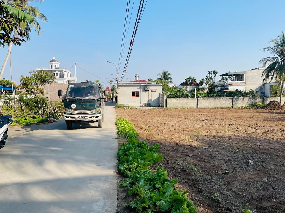 Đất thổ cư 2000m² tại Quang Hưng, An Lão - Giá tốt cho nhà đầu tư!