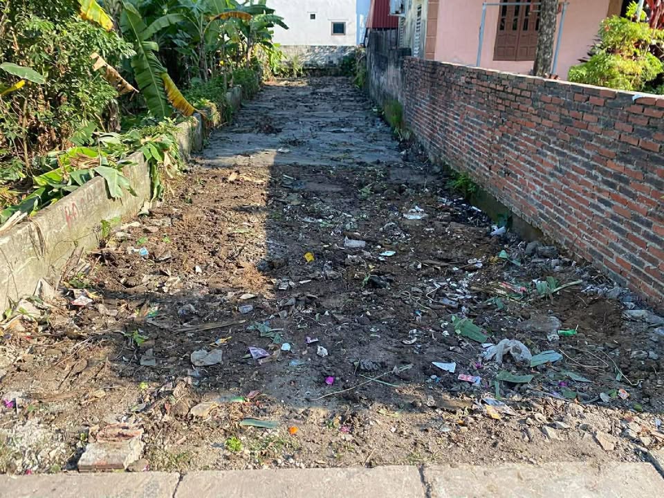 Đất nền tại Phú Thái, Kim Thành 130m² - Giá thỏa thuận hấp dẫn!