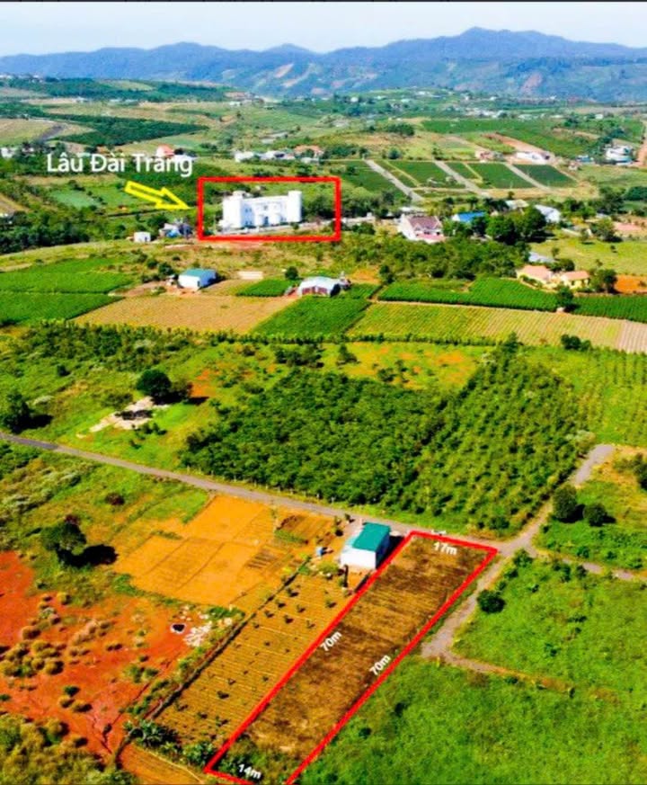 Đất Lô Góc 2 Mặt Tiền Đường Lý Thái Tổ, Phường 2 Bảo Lộc 1030m² - Giá Chỉ 2.3 Tỷ!