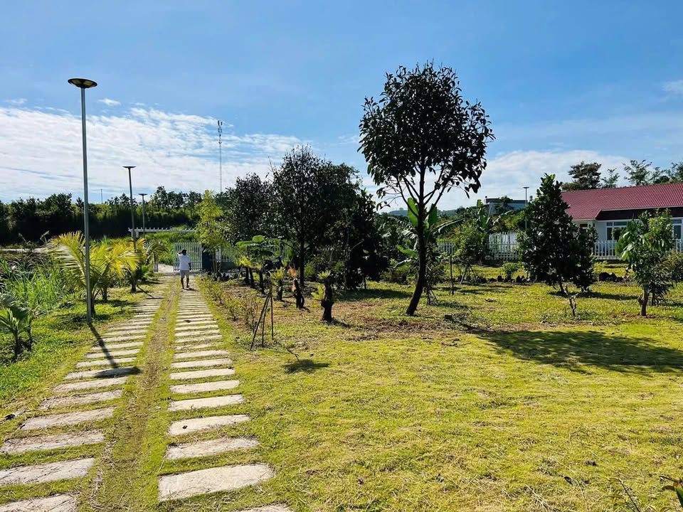 Homestay Đại Lào - Bảo Lộc 3000m² giá 10 triệu - Nghỉ dưỡng lý tưởng tại thiên nhiên!