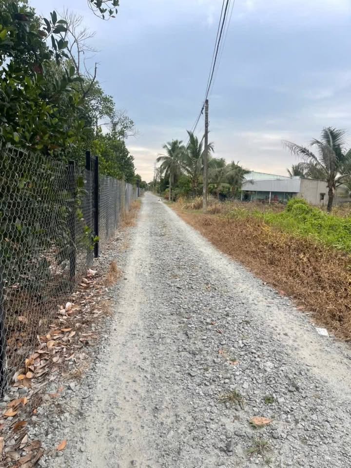 Đất nền 500m² tại xã Trung An, Củ Chi - Giá 3.5 tỷ, đường xe tải vào tận nơi!