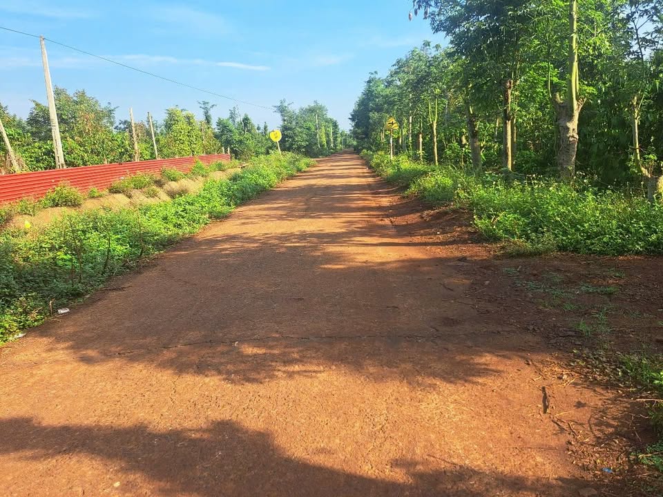 Đất EaKtur Cư Kuin 594m² giá 145 triệu - Vị trí đẹp, thương lượng nhẹ!