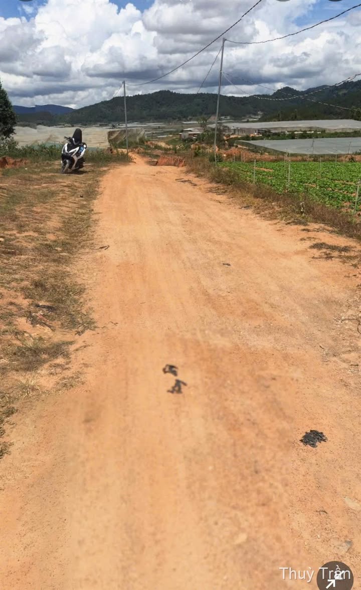 Đất nền Quảng Lập 476m² giá chỉ 250 triệu - Cơ hội đầu tư tuyệt vời!