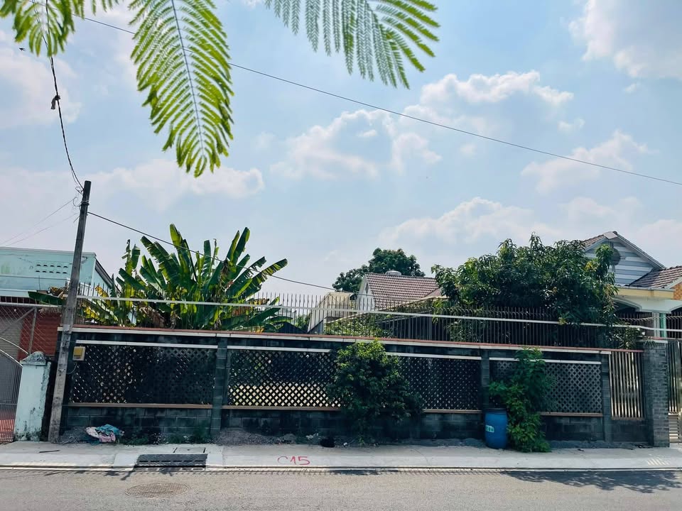 Đất mặt tiền Nguyễn Viết Xuân, Củ Chi 480m² giá 9.2 tỷ - Đầu tư sinh lời ngay!