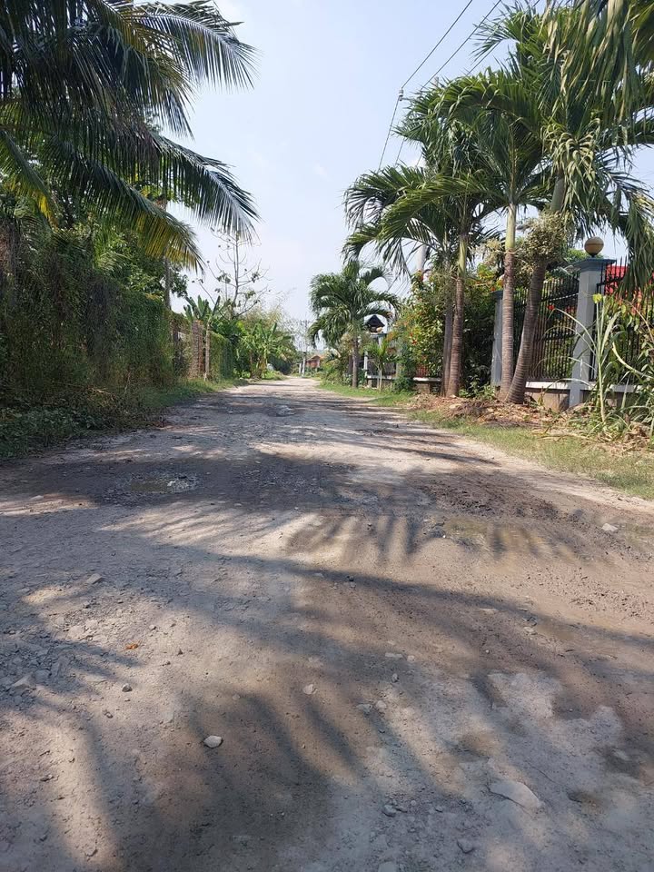 Đất mặt tiền Bình Mỹ Củ Chi 193m² giá 4.43 tỷ - Vị trí đẹp, đầu tư lý tưởng!